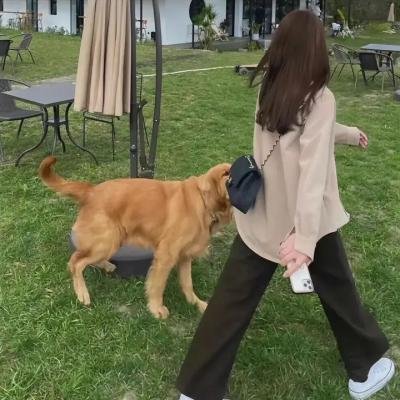 听我的电波吧